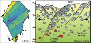 Figure de Ferrando et al. 2021