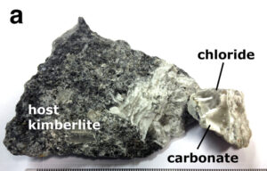 Figure illustrant l'article de Kitayama et al. 2021