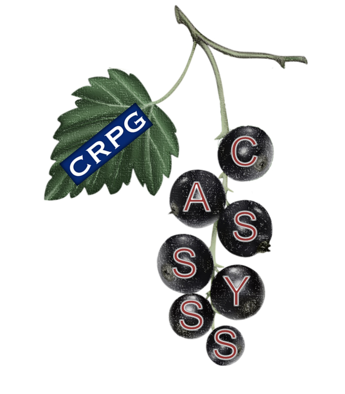 logo ANR CASSYSS