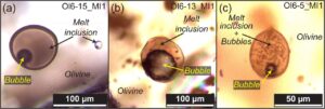 Figure article Feignon et al.