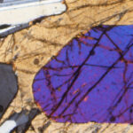 Cumulate formation and melt extraction from mush-dominated magma reservoirs: The melt flush process exemplified at mid-ocean ridges