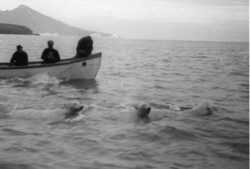 Photographie missions d'avant guerre
