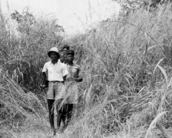 Photographie missions d'avant guerre