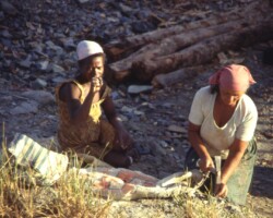 Photographie de l'exposition "Le monde merveilleux des Gemmes"