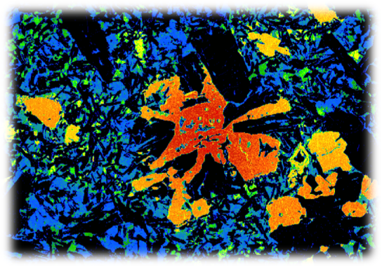 Image en microscopie électronique