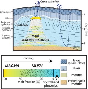 Figure Cross axis - Lyderic France et al