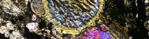 Lire la suite à propos de l’article Oxygen isotope compositions of chondrules in enstatite chondrites: insights from relict olivine, chondrule size and redox state