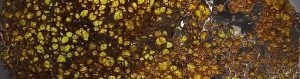 Lire la suite à propos de l’article Nitrogen isotopic variations in the early Solar System recorded by pallasites