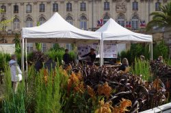 Photo de l'intervention au Jardin Ephémère en 2020