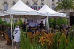 Photo de l'intervention au Jardin Ephémère en 2020