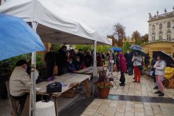 Photo de l'intervention au Jardin Ephémère en 2020