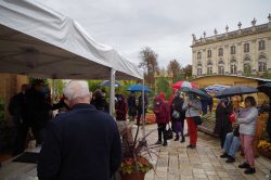 Photo de l'intervention au Jardin Ephémère en 2020