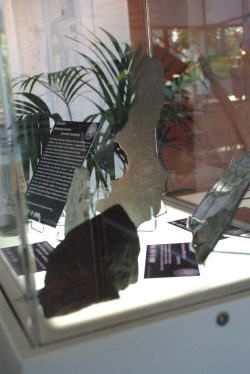 Photographie des Nuits des chercheurs à Metz (2013 – 2015)