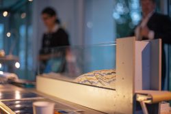 Photographie des Nuits des chercheurs à Metz (2013 – 2015)