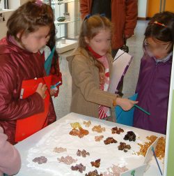 Photographie de l'exposition Verre 2004