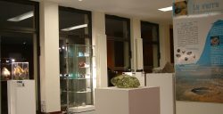 Photographie de l'exposition Verre 2004