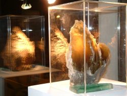 Photographie de l'exposition Verre 2004