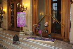 Photographie de l'exposition Verre et Nature en 2008