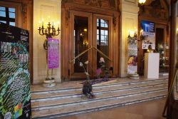 Photographie de l'exposition Verre et Nature en 2008