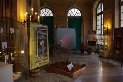 Photographie de l'exposition Verre et Nature en 2008