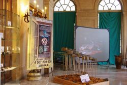 Photographie de l'exposition Verre et Nature en 2008