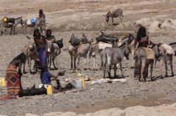 Photographie mission de terrain en Afar