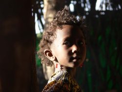 Photographie mission de terrain en Afar