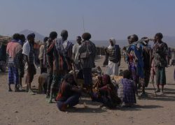 Photographie mission de terrain en Afar