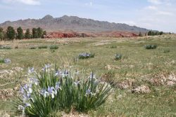 Photographie mission Tianshan