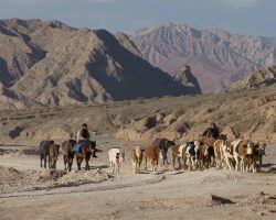 Photographie mission Tianshan