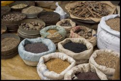 Photographie mission Bangladesh