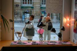 Photographie vitrine Daum réalisée avec le CRPG