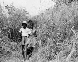 Photographie missions d'avant guerre