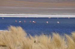 Photographie mission Bolivie