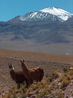 Photographie mission Bolivie