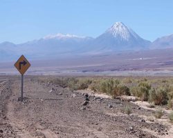 Photographie de l'exposition "Atacama : cap sur Mars"
