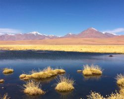 Photographie de l'exposition "Atacama : cap sur Mars"