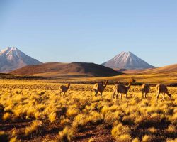 Photographie de l'exposition "Atacama : cap sur Mars"