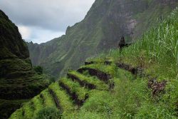 Photographie de l'exposition "Santo Antão (Cap Vert), terre de contraste"