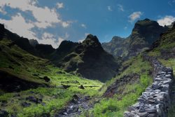 Photographie de l'exposition "Santo Antão (Cap Vert), terre de contraste"