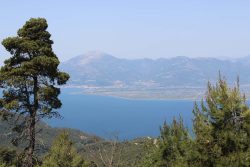 Photographie de l'exposition "Le rift de Corinthe"