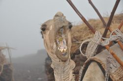 Photographie de l'exposition "Mission sur le volcan Erta Ale en Afar"