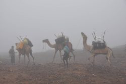 Photographie de l'exposition "Mission sur le volcan Erta Ale en Afar"