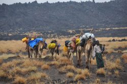 Photographie de l'exposition "Mission sur le volcan Erta Ale en Afar"