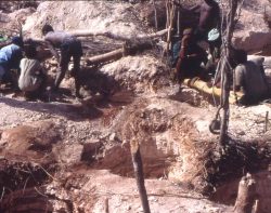 Photographie de l'exposition "Le monde merveilleux des Gemmes"