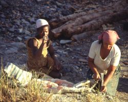 Photographie de l'exposition "Le monde merveilleux des Gemmes"