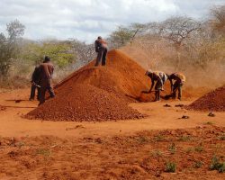 Photographie de l'exposition "Le monde merveilleux des Gemmes"