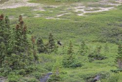 Photographie de l'exposition "Expédition en terre Inuite"