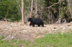 Photographie de l'exposition "Expédition en terre Inuite"