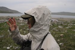 Photographie de l'exposition "Expédition en terre Inuite"